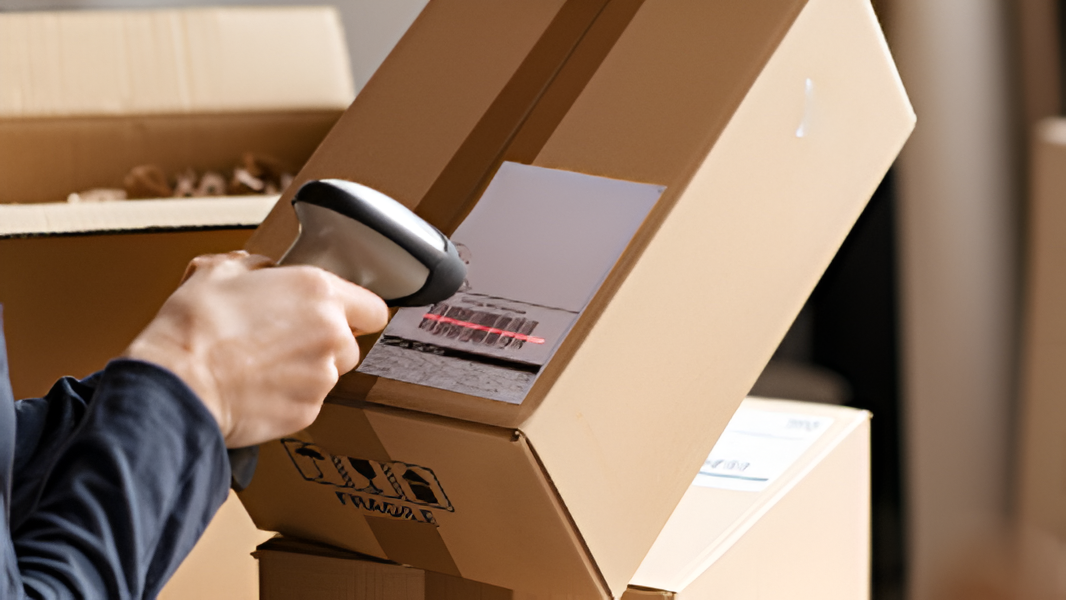 Diseño sin título - 2025-05-29T190037.341 (1)