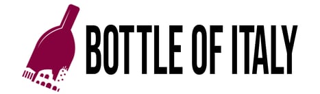 Logo Bottle of Italy.pdf