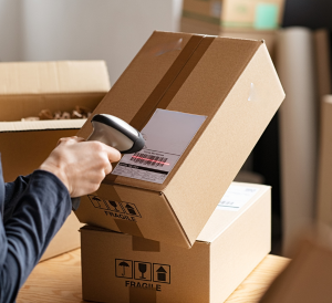 Untitled design (31)-1